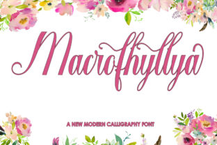 Macrofhyllya Script: A Modern Handwritten Typeface