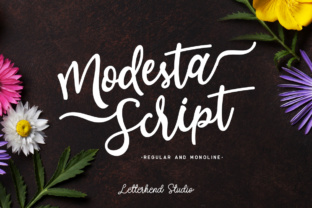 Modesta Script: Crafting Feminine Brand Identities with Elegance