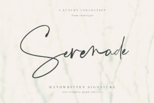 Serenade Script: A Bold Twist on Timeless Script Typography
