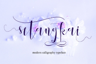 Setangkai Script: The Modern Font for Elegant Design